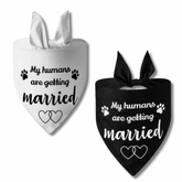 Dog wedding bandana fashion accessory let's pawty